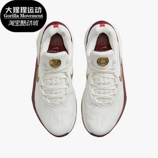 Zoom G.T. DJ6013 耐克正品 103 EP男子篮球鞋 Air Nike Cut