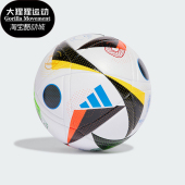 Adidas 德国欧洲杯比赛训练5号足球IN9367 阿迪达斯正品