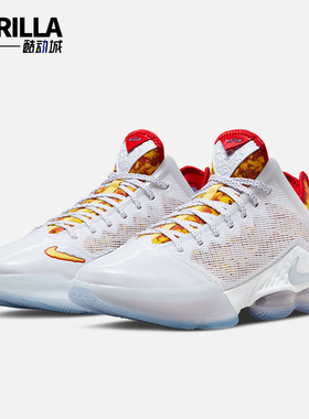 Nike/耐克正品LeBron 19 LBJ詹姆斯男士实战篮球鞋DQ8343-100