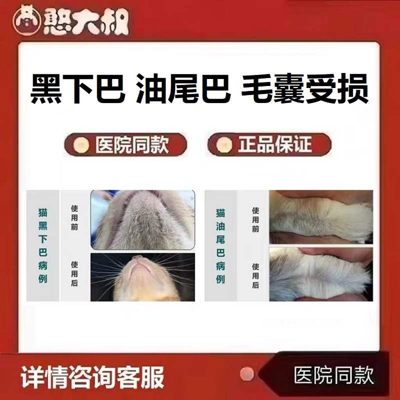 宠物猫咪黑下巴猫咪黑下巴煤渣状油尾巴油脂分泌过旺粉刺痤疮
