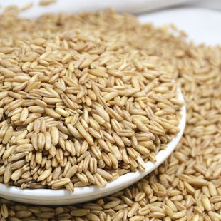 甘肃特产莜麦粒特产甜胚子原料莜麦子去皮正宗莜麦