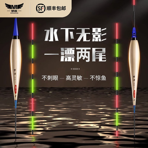 梦者芦苇日夜两用醒目夜光电子漂