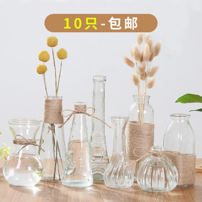 透明玻璃瓶水培植物绿萝干花插花