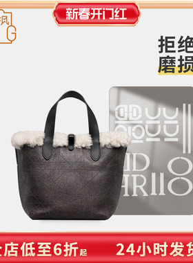 适用迪奥DiorAlps 小号 Dior Toujours 竖版手袋包包五金保护贴膜