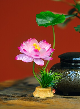 仿真荷花摆盘花酒店餐饮冷菜刺身菜品装饰花草餐盘点缀假花摆件