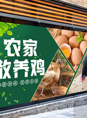 农家土鸡海报壁纸散养土鸡蛋装饰笨鸡蛋广告墙贴自粘贴纸背景墙纸