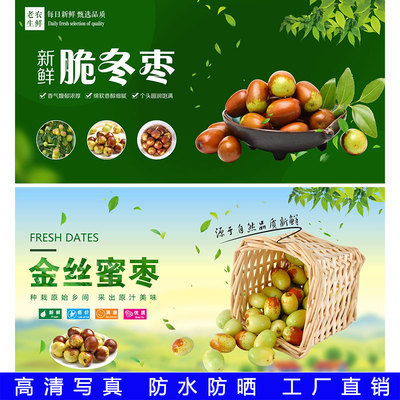 新鲜青枣子贴画脆冬枣贴纸自粘水果店墙贴画采摘广告壁画背景墙纸