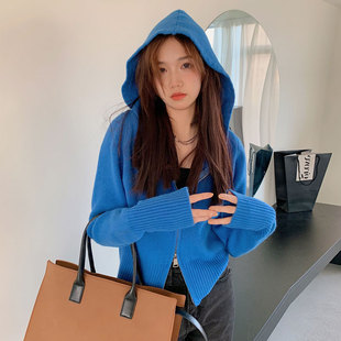 宝石蓝毛衣外套小个子短款设计感小众克莱因蓝连帽双拉链针织开衫