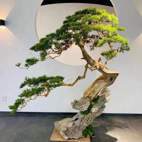 中式室内造景迎客松仿真树大型假树崖柏松绿植玄关橱窗根包石景观