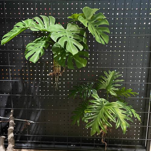 仿真绿植装饰龟背叶春芋塑料假植物绿色仿草花艺造景假小草龟背竹