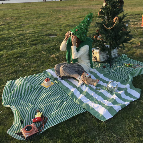 一次性野餐垫户外露营垫防水防油