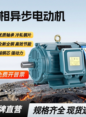 三相电机Y80M2-4 0.75KW/1.1/80M2-6 0.55KW全铜YE3电机铝壳380V