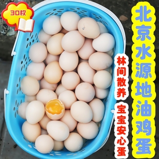 密水农家林间散养正宗北京油鸡鸡蛋30枚 生鲜 土鸡蛋 新鲜鸡蛋