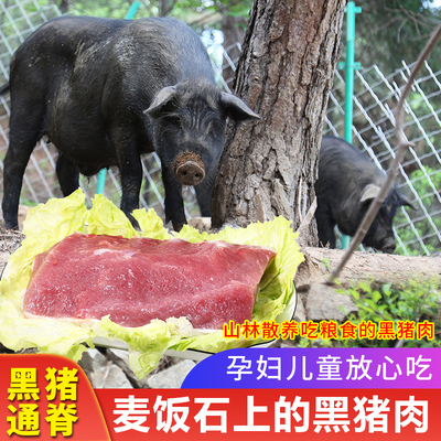 密水农家 国产新鲜跑山黑猪肉通脊400g 里脊肉生鲜