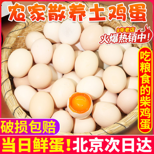 密水农家鸡蛋 农村新鲜 谷物鸡蛋 正宗鲜鸡蛋生鸡蛋30-60枚