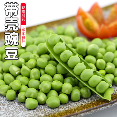 农家新鲜带壳豌豆500g