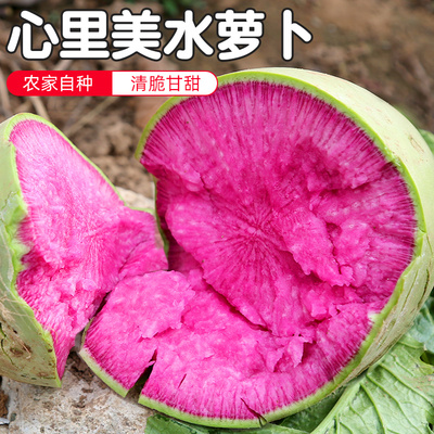 密水农家新鲜红心不辣心里美萝卜