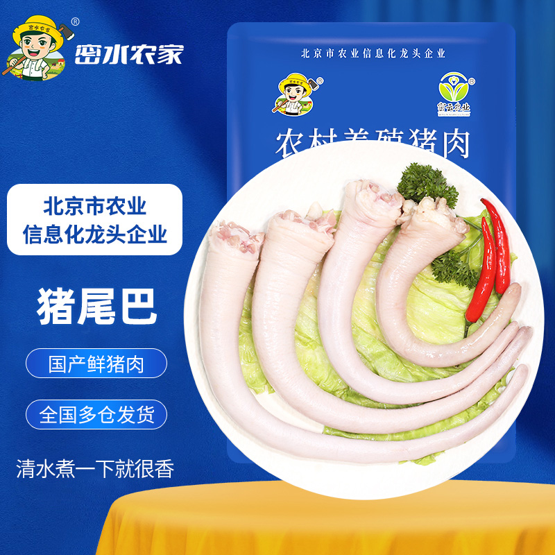 密水农家 新鲜猪尾巴 手工去毛整根猪尾骨 新鲜猪肉 中长尾巴生鲜