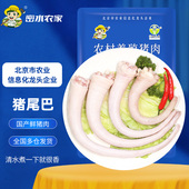 新鲜猪肉 手工去毛整根猪尾骨 中长尾巴生鲜 新鲜猪尾巴 密水农家