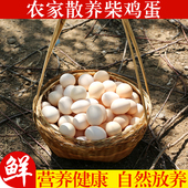 密水农家农家散养鸡蛋笨鸡蛋柴鸡蛋正宗新鲜草鸡蛋 1枚破损包赔