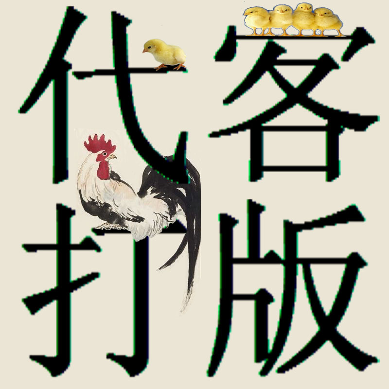 创意服装打板代客打版制版制作样服饰设计