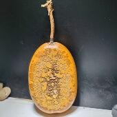 7.7 扁葫芦福禄双全 ​11.5 3.1厘米