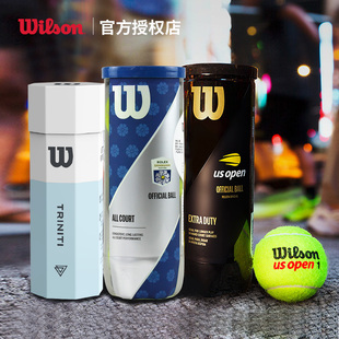 Wilson威尔胜网球正品 美网法网专业比赛练习训练威尔逊罐装 网球