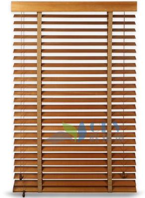 MotorizedhoneycombOEVblinds