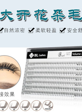 BL睫毛嫁接睫毛浓密定型开花2D,3D,4D,5D,6D 粗细0.07促销一盒7排