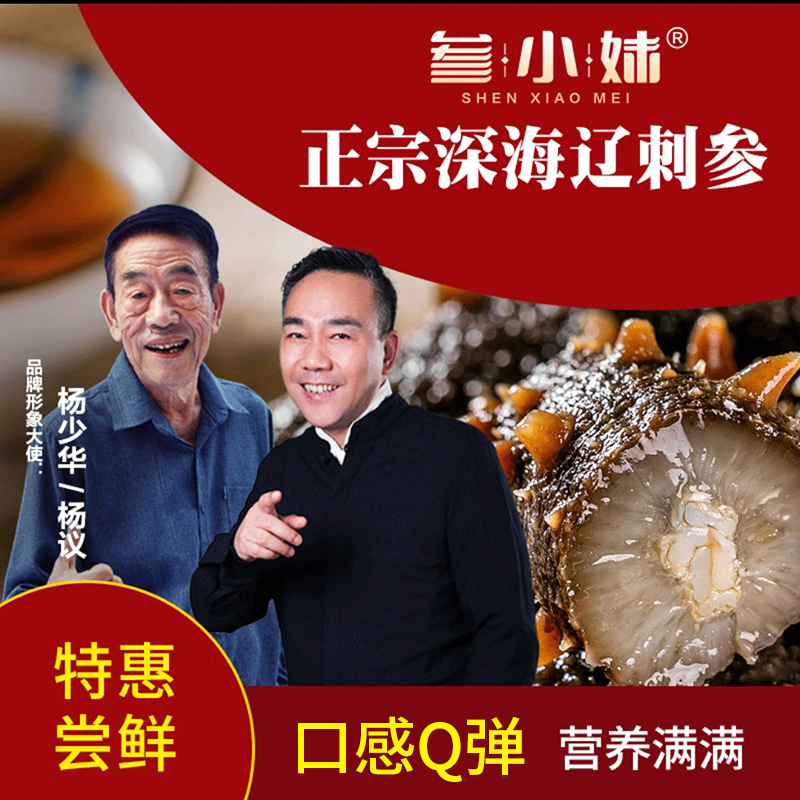 【参小妹】 大连即食海参500g 每斤20-25头辽刺参 冷冻生鲜