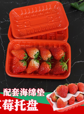 一次性塑料包装盒精品奶油草莓盒防震托盘红绿色水果打包盒海绵垫