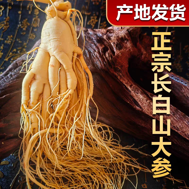 【保鲜人参】长白山人参东北特产新鲜人参泡酒鲜参