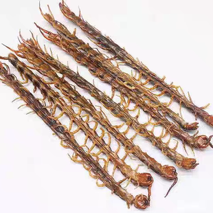 深山野生蜈蚣 老农民红头蜈蚣，纯野生蜈蚣干中药材正品官方野生