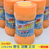 正宗舟山嵊泗辣螺浆酱宁波特产黄螺海螺浆即食海鲜嵊山螺酱大军厂