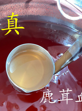 长白山梅花保鲜酒加鹿茸血