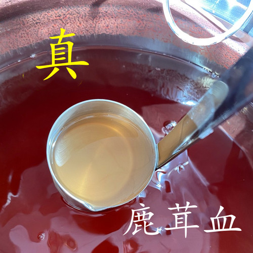 长白山梅花保鲜酒加鹿茸血