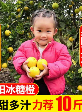 湖南麻阳冰糖橙新鲜水果10斤包邮现摘当季时令新鲜水果超甜孕妇9