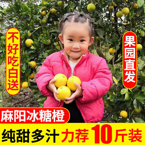 麻阳冰糖橙现摘纯甜新鲜水果包邮