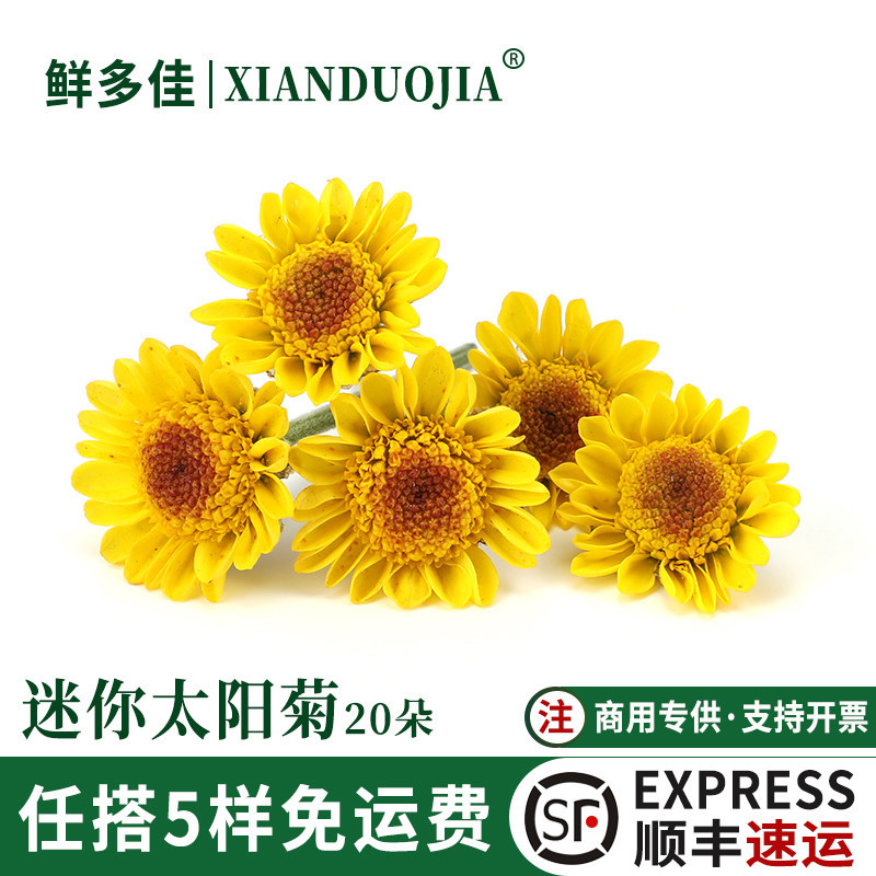 小太阳菊新鲜小黄菊黄雏菊装饰花