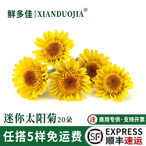 小太阳菊新鲜小黄菊黄雏菊装饰花
