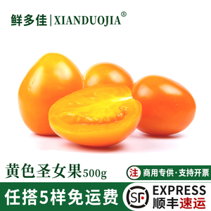 黄色圣女果新鲜阳光樱桃千禧番茄