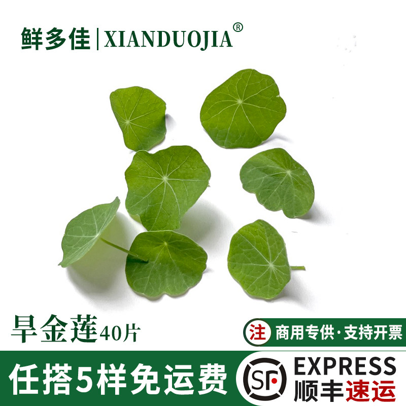 旱金莲新鲜非铜钱草新鲜装饰花草