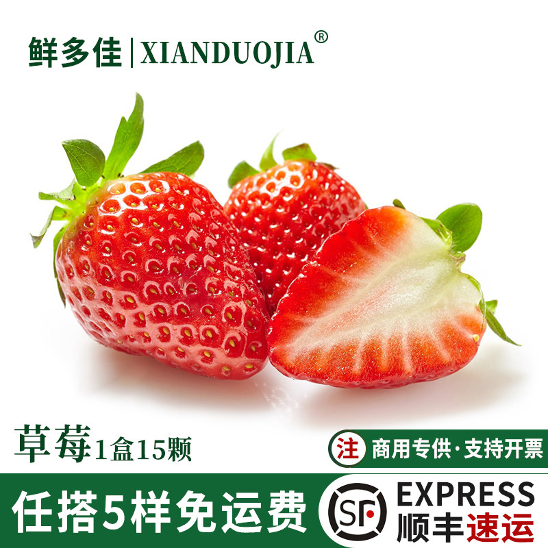 四季酸草莓新鲜商用水果烘焙奶茶双流草莓饮品奶茶店用点缀酸草莓