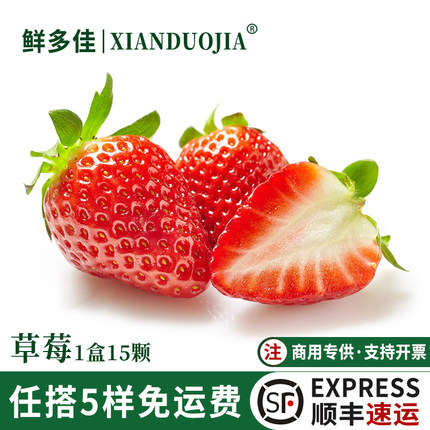 四季酸草莓新鲜商用水果烘焙奶茶双流草莓饮品奶茶店用点缀酸草莓