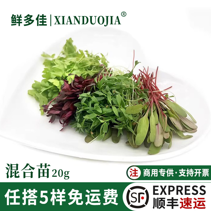 新鲜混合芽苗菜食用沙拉微型蔬菜