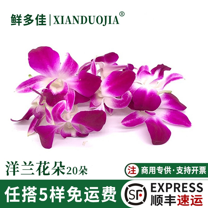 洋兰花花朵新鲜杨兰花装饰鲜花