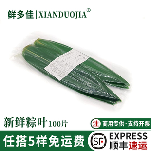 新鲜粽叶100片青竹叶箬叶纯天然寿司日式料理烤肉装饰用粽叶真空