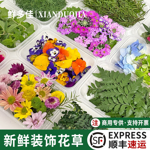 西餐摆盘装饰花草新鲜食用花鲜花