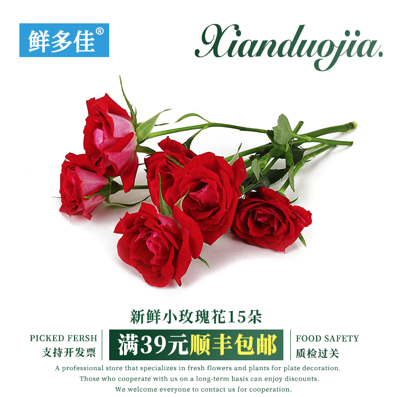小玫瑰花朵新鲜月季花朵迷你玫瑰