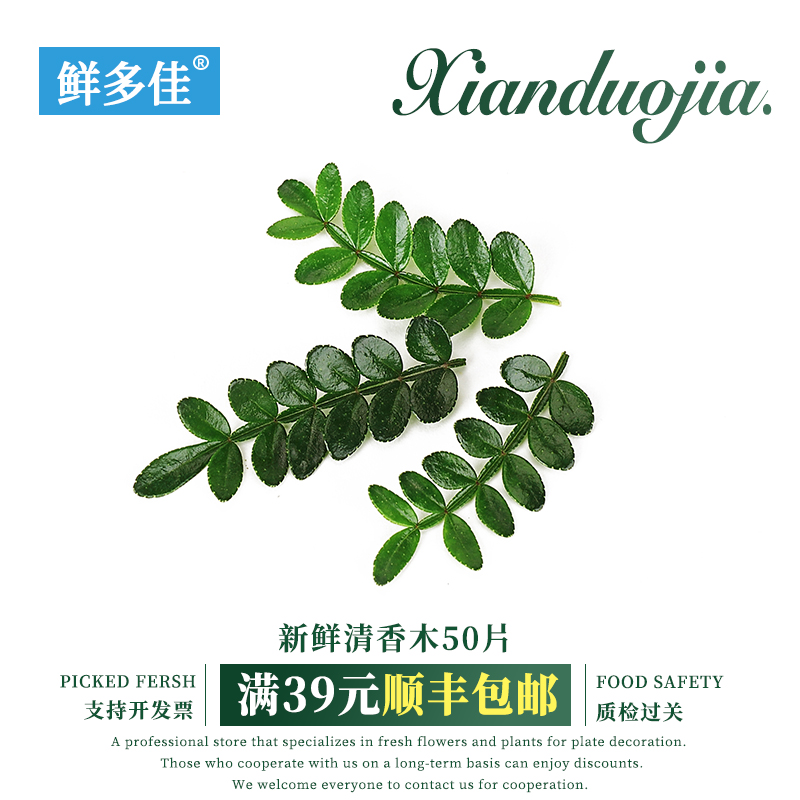 新鲜清香木叶子蛋糕装饰可食用